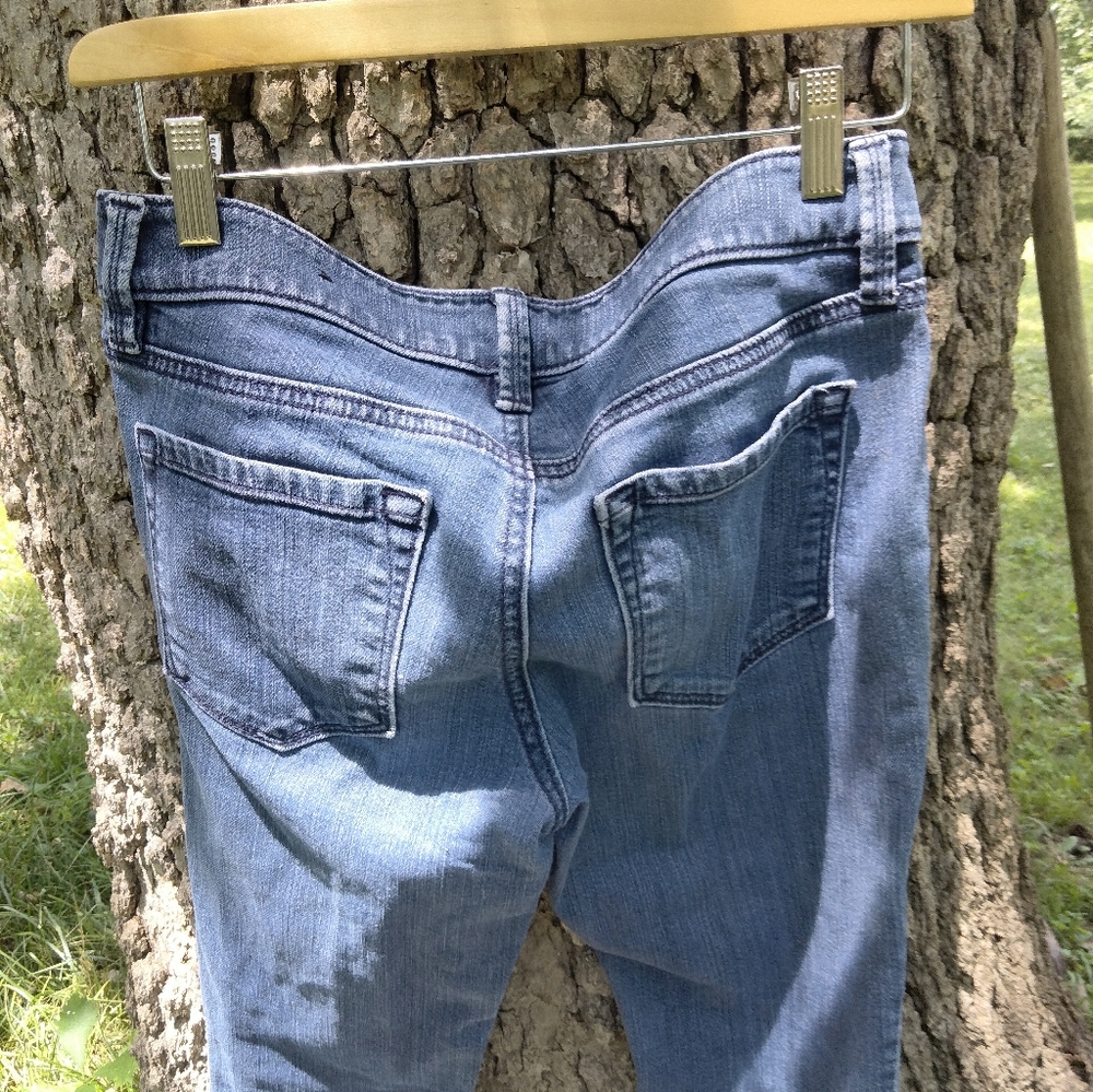 ⬇️Price Drop!⬇️ Ann Taylor Ankle Jean in size 2 - Picture 3 of 4